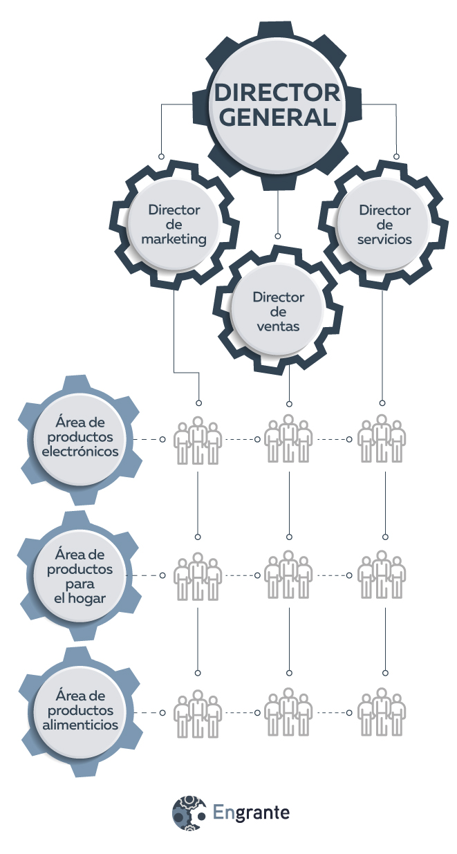 Organigrama-matricial