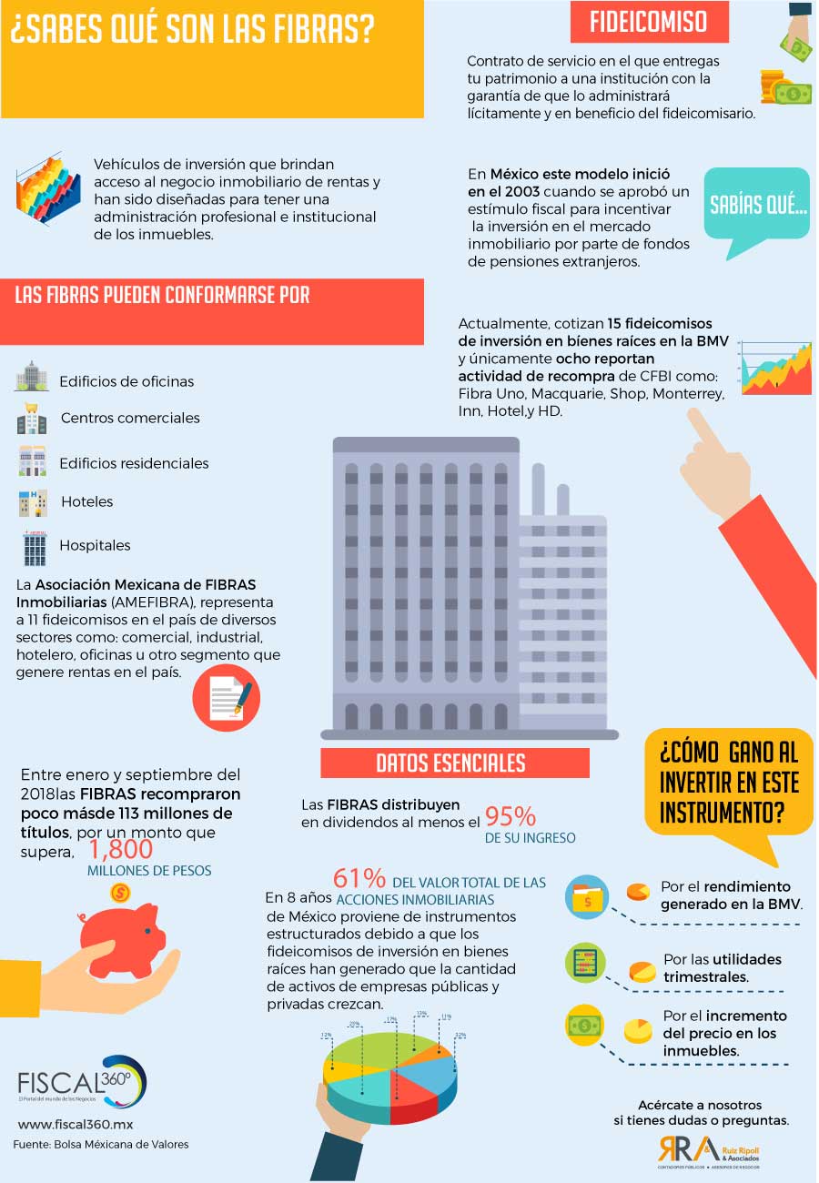 Infografia-sabes-que-son-las-fibras